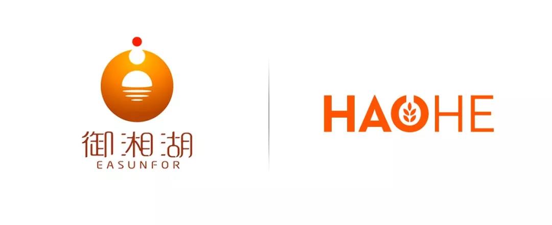 企业网站策划方案,品牌策划
